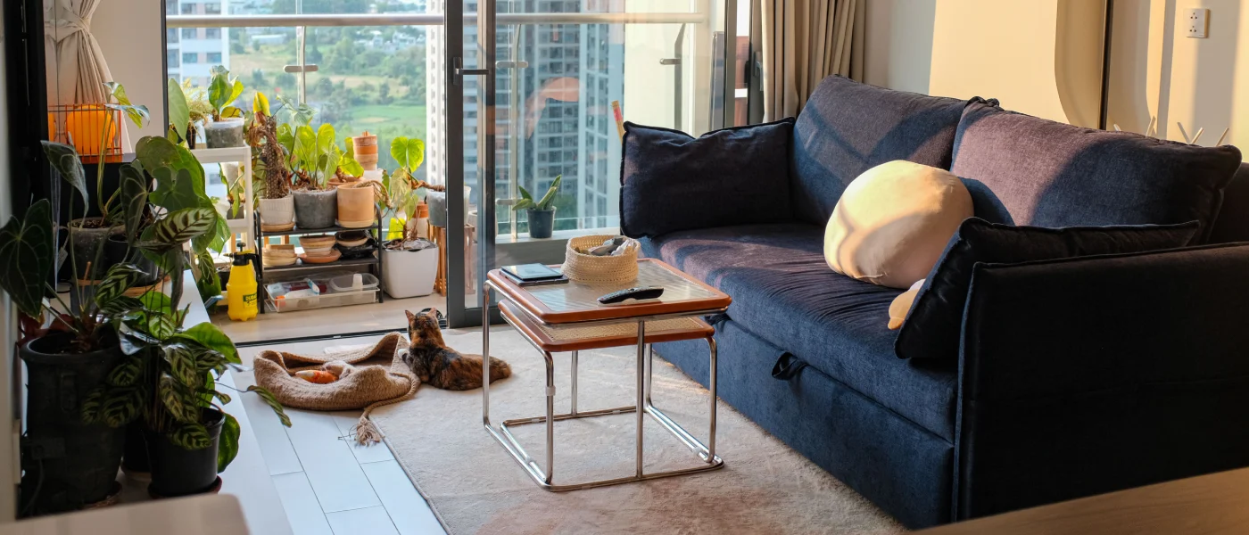 Cat relaxing in a small apartment living room